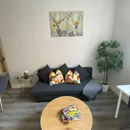 1-bed Apt In City Centre Dublín
